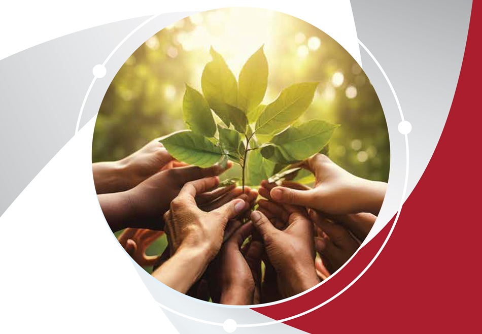 Penta Teknoloji, sürdürülebilirlik yolculuğunda değer üretmeye devam ediyor